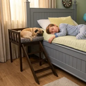 Inicio cama alta con escalera para mascotas