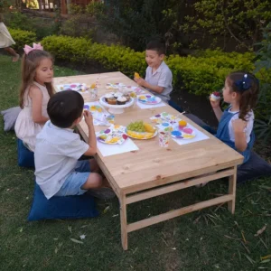 mesa picnic